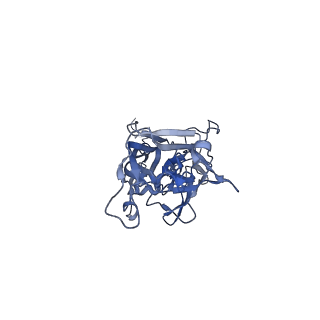 21667_6wh3_8_v1-4
Capsid structure of Penaeus monodon metallodensovirus at pH 8.2