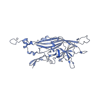 21667_6wh3_A_v1-4
Capsid structure of Penaeus monodon metallodensovirus at pH 8.2