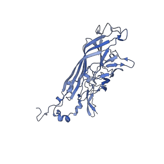 21667_6wh3_B_v1-3
Capsid structure of Penaeus monodon metallodensovirus at pH 8.2
