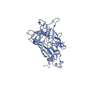 21667_6wh3_C_v1-3
Capsid structure of Penaeus monodon metallodensovirus at pH 8.2