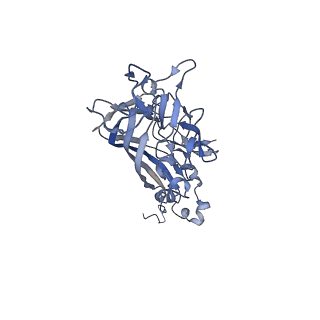 21667_6wh3_C_v1-4
Capsid structure of Penaeus monodon metallodensovirus at pH 8.2