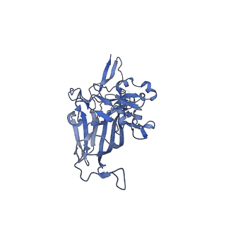 21667_6wh3_D_v1-3
Capsid structure of Penaeus monodon metallodensovirus at pH 8.2