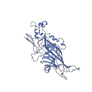 21667_6wh3_E_v1-3
Capsid structure of Penaeus monodon metallodensovirus at pH 8.2