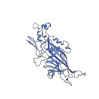 21667_6wh3_E_v1-4
Capsid structure of Penaeus monodon metallodensovirus at pH 8.2