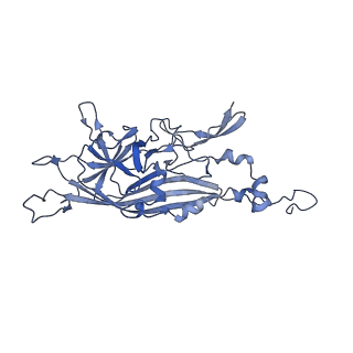 21667_6wh3_F_v1-4
Capsid structure of Penaeus monodon metallodensovirus at pH 8.2