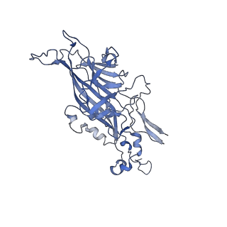 21667_6wh3_G_v1-3
Capsid structure of Penaeus monodon metallodensovirus at pH 8.2
