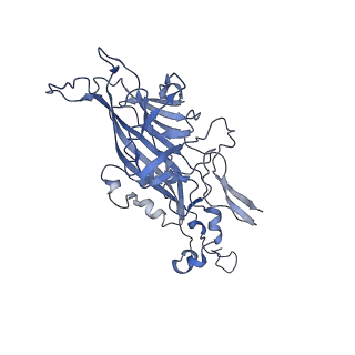 21667_6wh3_G_v1-4
Capsid structure of Penaeus monodon metallodensovirus at pH 8.2