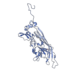 21667_6wh3_H_v1-3
Capsid structure of Penaeus monodon metallodensovirus at pH 8.2