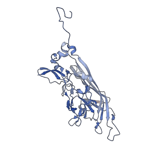 21667_6wh3_H_v1-4
Capsid structure of Penaeus monodon metallodensovirus at pH 8.2