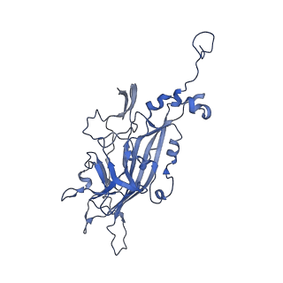 21667_6wh3_I_v1-3
Capsid structure of Penaeus monodon metallodensovirus at pH 8.2