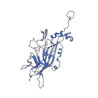 21667_6wh3_I_v1-4
Capsid structure of Penaeus monodon metallodensovirus at pH 8.2