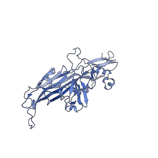 21667_6wh3_J_v1-3
Capsid structure of Penaeus monodon metallodensovirus at pH 8.2