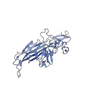 21667_6wh3_J_v1-4
Capsid structure of Penaeus monodon metallodensovirus at pH 8.2