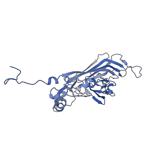 21667_6wh3_K_v1-3
Capsid structure of Penaeus monodon metallodensovirus at pH 8.2