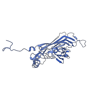 21667_6wh3_K_v1-4
Capsid structure of Penaeus monodon metallodensovirus at pH 8.2