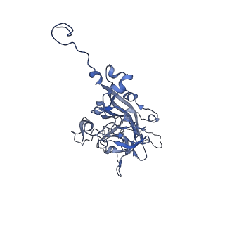 21667_6wh3_L_v1-3
Capsid structure of Penaeus monodon metallodensovirus at pH 8.2