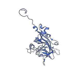 21667_6wh3_L_v1-4
Capsid structure of Penaeus monodon metallodensovirus at pH 8.2