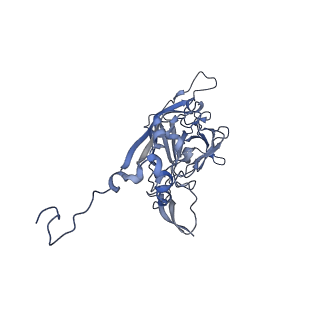 21667_6wh3_M_v1-3
Capsid structure of Penaeus monodon metallodensovirus at pH 8.2