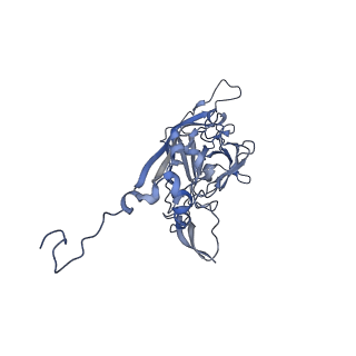 21667_6wh3_M_v1-4
Capsid structure of Penaeus monodon metallodensovirus at pH 8.2