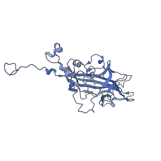 21667_6wh3_N_v1-3
Capsid structure of Penaeus monodon metallodensovirus at pH 8.2