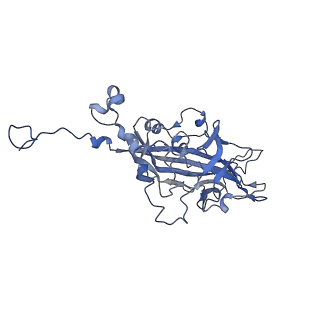 21667_6wh3_N_v1-4
Capsid structure of Penaeus monodon metallodensovirus at pH 8.2