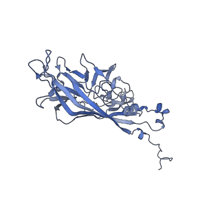 21667_6wh3_O_v1-4
Capsid structure of Penaeus monodon metallodensovirus at pH 8.2