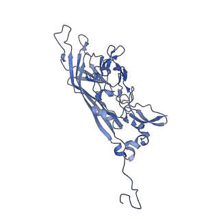 21667_6wh3_P_v1-3
Capsid structure of Penaeus monodon metallodensovirus at pH 8.2