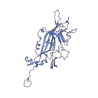 21667_6wh3_Q_v1-3
Capsid structure of Penaeus monodon metallodensovirus at pH 8.2