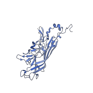21667_6wh3_R_v1-3
Capsid structure of Penaeus monodon metallodensovirus at pH 8.2