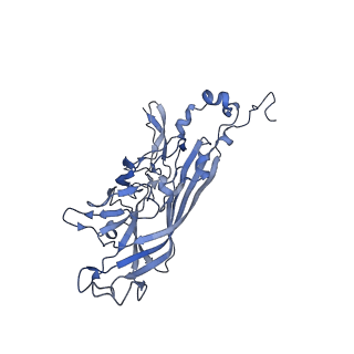 21667_6wh3_R_v1-4
Capsid structure of Penaeus monodon metallodensovirus at pH 8.2