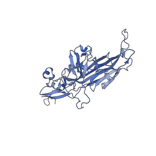 21667_6wh3_S_v1-3
Capsid structure of Penaeus monodon metallodensovirus at pH 8.2