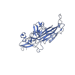 21667_6wh3_S_v1-4
Capsid structure of Penaeus monodon metallodensovirus at pH 8.2