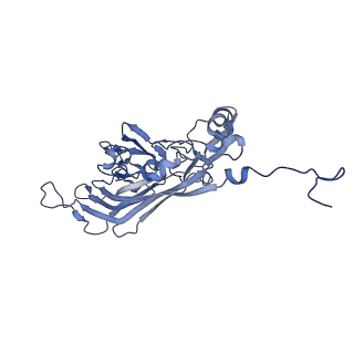 21667_6wh3_T_v1-3
Capsid structure of Penaeus monodon metallodensovirus at pH 8.2