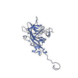 21667_6wh3_U_v1-4
Capsid structure of Penaeus monodon metallodensovirus at pH 8.2