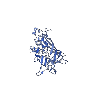 21667_6wh3_V_v1-3
Capsid structure of Penaeus monodon metallodensovirus at pH 8.2