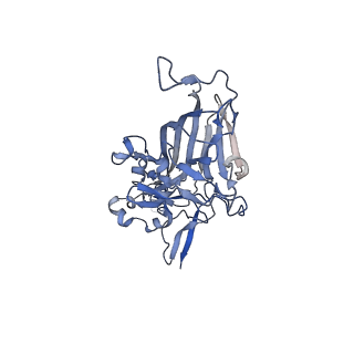21667_6wh3_W_v1-3
Capsid structure of Penaeus monodon metallodensovirus at pH 8.2