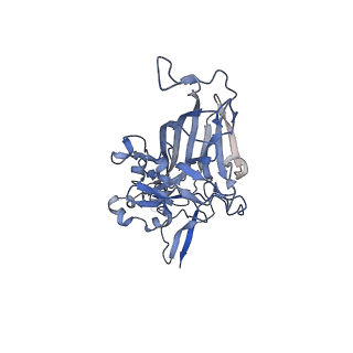 21667_6wh3_W_v1-4
Capsid structure of Penaeus monodon metallodensovirus at pH 8.2