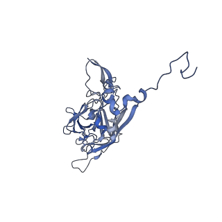 21667_6wh3_X_v1-3
Capsid structure of Penaeus monodon metallodensovirus at pH 8.2