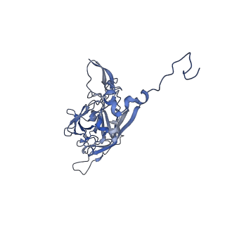 21667_6wh3_X_v1-4
Capsid structure of Penaeus monodon metallodensovirus at pH 8.2