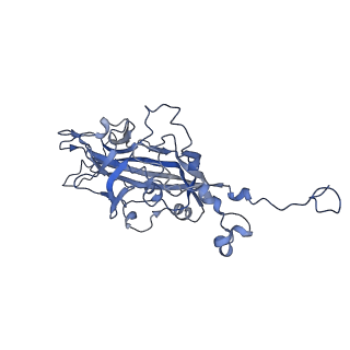 21667_6wh3_Y_v1-3
Capsid structure of Penaeus monodon metallodensovirus at pH 8.2