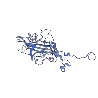 21667_6wh3_Y_v1-4
Capsid structure of Penaeus monodon metallodensovirus at pH 8.2