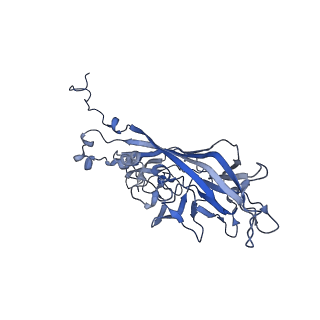 21667_6wh3_Z_v1-3
Capsid structure of Penaeus monodon metallodensovirus at pH 8.2