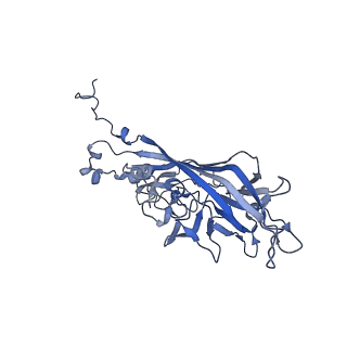 21667_6wh3_Z_v1-4
Capsid structure of Penaeus monodon metallodensovirus at pH 8.2