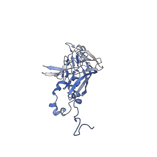 21667_6wh3_a_v1-3
Capsid structure of Penaeus monodon metallodensovirus at pH 8.2