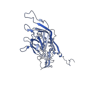 21667_6wh3_b_v1-3
Capsid structure of Penaeus monodon metallodensovirus at pH 8.2