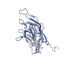 21667_6wh3_b_v1-4
Capsid structure of Penaeus monodon metallodensovirus at pH 8.2