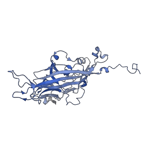 21667_6wh3_c_v1-3
Capsid structure of Penaeus monodon metallodensovirus at pH 8.2