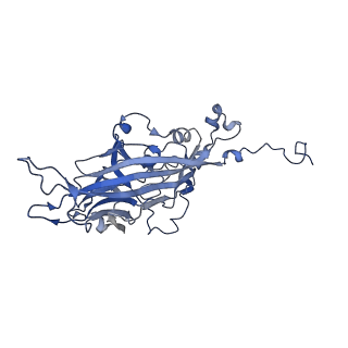 21667_6wh3_c_v1-4
Capsid structure of Penaeus monodon metallodensovirus at pH 8.2