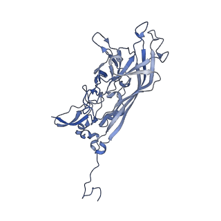 21667_6wh3_d_v1-3
Capsid structure of Penaeus monodon metallodensovirus at pH 8.2
