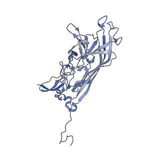 21667_6wh3_d_v1-4
Capsid structure of Penaeus monodon metallodensovirus at pH 8.2